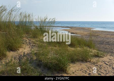 Küstenlandschaft mit Gräsern auf Dünen, Meer und blauem Himmel, Strand bei Nea Kallikratia, Chalkidiki, Chalkidiki, Zentralmakedonien, Griechenland, Europa Stockfoto