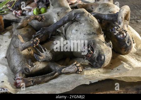 Buschfleisch auf einem Markt, Affenfleisch, Wilderei, Ouesso, Sangha, Republik Kongo Stockfoto