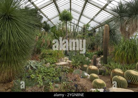 Eine Vielzahl von Kakteen und Sukkulenten in einem geräumigen Gewächshaus, Princess of Wales Conservatory, Royal Botanic Gardens (Kew Gardens), UNESCO-Weltkulturerbe Stockfoto