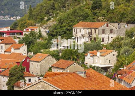 Perast, Montenegro Häuser der antiken Stadt, Hochwinkelblick Stockfoto