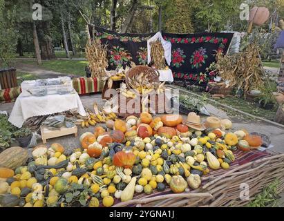 Lebhafter Marktstand im Freien mit einer Vielzahl von bunten Kürbissen, Kürbissen und Mais. Schwarzer Wandteppich mit Blumenmotiven im Hintergrund, traditionell Stockfoto