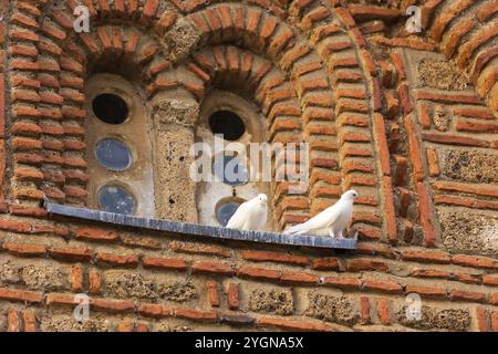 Zwei weiße Tauben, Tauben Vogel nahe Fenster, Kirche St. John Kaneo, Ohrid, Nordmakedonien Stockfoto