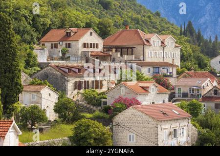 Perast, Montenegro Häuser der antiken Stadt, Hochwinkelblick Stockfoto