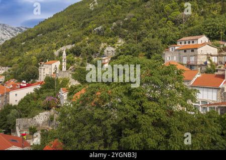 Perast, Montenegro Häuser der antiken Stadt, Hochwinkelblick Stockfoto