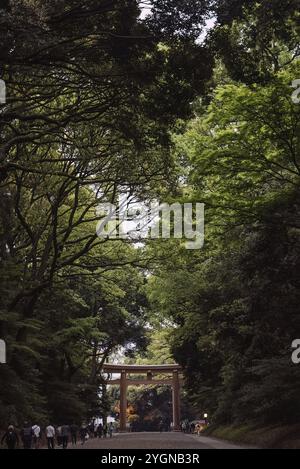 Touristen laufen durch den Meiji-Schrein zum großen Tor Tor Tor. Das Meiji Jingu im Zentrum von Tokio ist ein mehr als 100 Jahre alter Shinto-Schrein in Honou Stockfoto