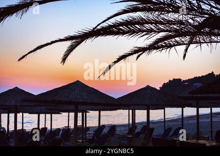 Tropischer Panoramahintergrund mit Palmenzweig Silhuette und farbenfrohem Sonnenuntergang. Sommerurlaubskonzept Stockfoto