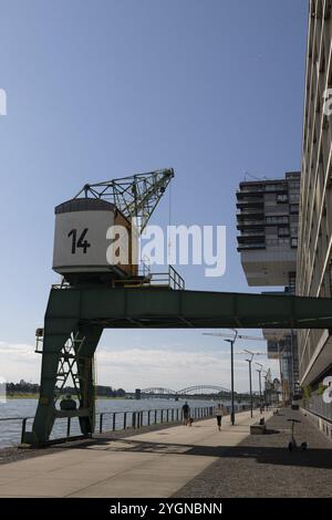 Dom, Rheinauhafen, Südbrücke, Köln, Nordrhein-Westfalen, Kranhäuser, ein Sonntag in Köln am 14.07.2024 im Dom, Rheinauhafen Stockfoto