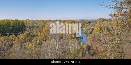 Herbstliches ländliches Panorama mit einem ruhigen Fluss, der sich durch einen dichten Wald mit bunten Bäumen schlängelt. Das leuchtende Laub von Grün bis Gelb erzeugt einen Stockfoto