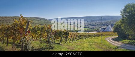 IALOVENI, MOLDAWIEN, 21. OKTOBER 2024 Poiana Winery Panoramablick auf den Weinberg mit Weinreihen auf einem Hügel in der Nähe einer unbefestigten Straße. Malerische Landschaft Stockfoto