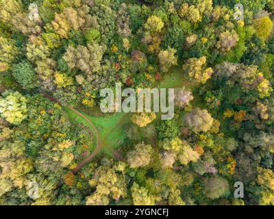 Von oben nach unten auf Bäume in Eastham Woods, Wirral im Herbst in England Stockfoto