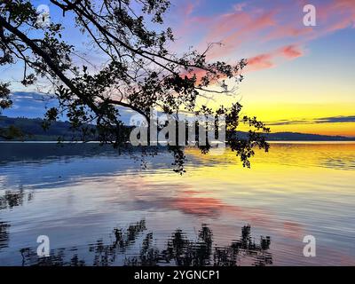 Farbenfroher Sonnenuntergang am Sempacher See mit rosa und blauen Himmelsreflexen im Wasser, Sempach, Luzern, Schweiz, Europa Stockfoto