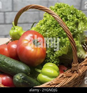 Frisches Gemüse mit Wassertropfen im Korb. Bio-Tomaten, Gurken, Pfeffer und lebendiger grüner Salat vom Markt. Frische Rohkost Stockfoto