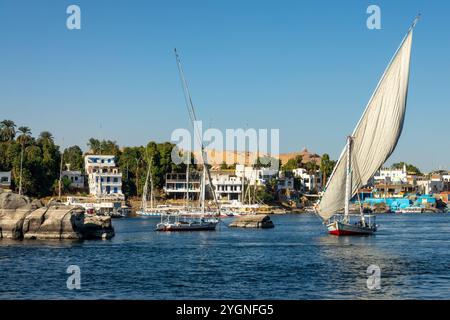 Feluccas (traditionelle ägyptische Segelboote) auf dem Nil in Assuan, Ägypten Stockfoto
