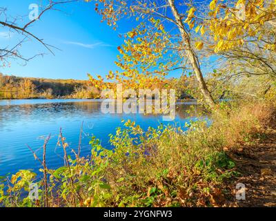 Herbstfarben am Ufer des Potomac River 2 Stockfoto