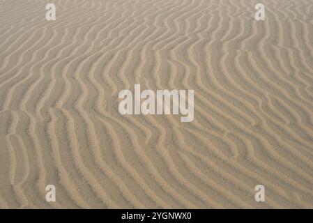 Strukturiertes Muster mit Kopierraum anschleifen. Abstraktes Hintergrundbild. Sandwellen in einer Wüstendüne. Stockfoto