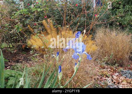 Herbstlandschaft im Südosten von Pennsylvania. Stockfoto