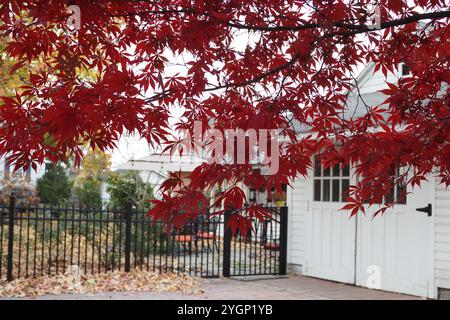 Herbstlandschaft im Südosten von Pennsylvania. Stockfoto