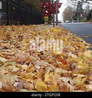 Herbstlandschaft im Südosten von Pennsylvania. Stockfoto