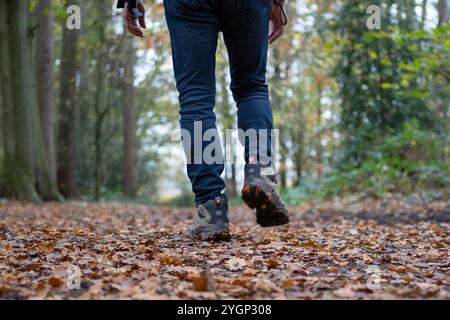 Kidderminster, Großbritannien. November 2024. Wetter in Großbritannien: Wanderer am frühen Morgen genießen einen weiteren trockenen, aber bewölkten Herbsttag. Quelle: Lee Hudson/Alamy Live News Stockfoto