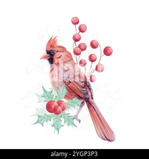 Aquarell Weihnachtsvogel roter Kardinal mit Brunch, rotes Berriestrauß mit holly-grünen Blättern. Isoliert. Symbol für Weihnachten. Winterurlaub Stock Vektor