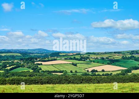 Landschaftsansicht der Felder und Hecken in der kornischen Landschaft in der Nähe von Fowey, Südwesten Englands. Stockfoto