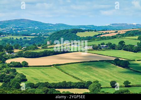 Landschaftsansicht der Felder und Hecken in der kornischen Landschaft in der Nähe von Fowey, Südwesten Englands. Stockfoto