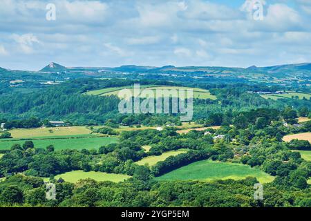 Landschaftsansicht der Felder und Hecken in der kornischen Landschaft in der Nähe von Fowey, Südwesten Englands. Stockfoto