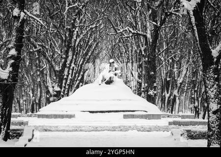 Denkmal für T. G. Schewtschenko im Winter, umgeben von schneebedeckten Bäumen und Treppen in der Stadt Romny, Region Sumy, Ukraine. Stockfoto