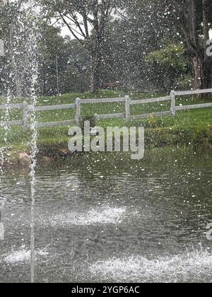 Brunnen sprüht Wassertropfen in einem ruhigen Park Teich, umgeben von üppigem Grün. Stockfoto