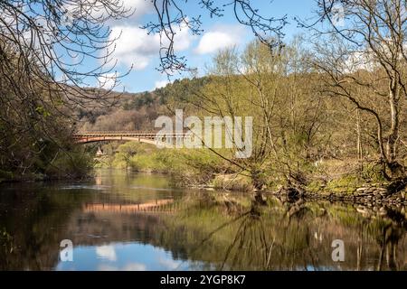 Victoria Bridge über den Fluss Severn, Arley, Worcestershire, England, Großbritannien Stockfoto