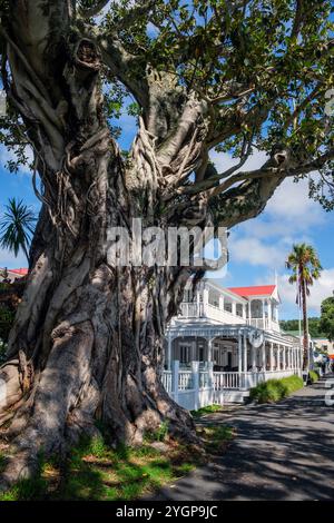 Ein alter Moreton Bay Feigenbaum und das Duke of Marlborough Hotel aus dem 19. Jahrhundert, The Strand, Russell, Bay of Islands, Nordinsel, Neuseeland Stockfoto