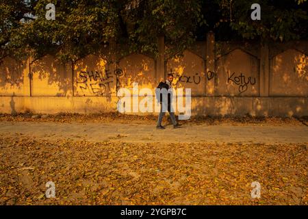 An einem Herbsttag in Srinagar, der Hauptstadt der Himalaya-Region von Kaschmir, spaziert ein Kaschmir entlang der Straße. Der Fall in Kaschmir, lokal bekannt als „Harud“, verwandelt das Tal in eine lebendige Leinwand aus roten, orangen und gelben Tönen. Stockfoto