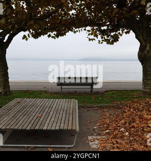 Bank. Zug. Stadt. Kanton. Zugersee. Zentralschweiz. Schweizer Mittelland. Altstadt. Burg Zug. Holzliege. Gemeinde Zug. Zuger Promenade. . Stockfoto