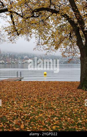 Zug. Stadt. Kanton. Zugersee. Zentralschweiz. Gelbe Boje. Altstadt. Boje... Gemeinde Zug. Männerbadi Zug. Zuger Promenade. Kaltbadeplatz. Stockfoto