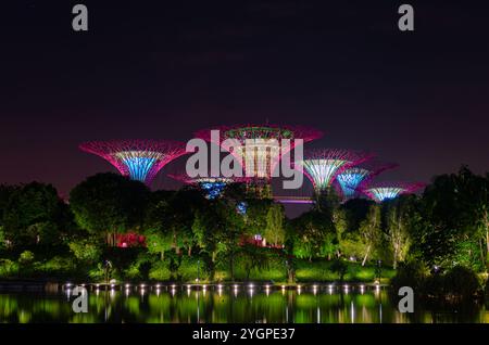 Beleuchtete Supertree Grove-Strukturen, die nachts in farbenfrohen Lichtern erstrahlen, in den Gardens by the Bay in Singapur. Stockfoto