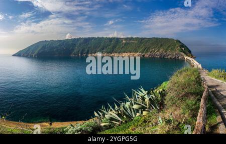 Panoramablick auf die Insel Vivara, Procida, Kampanien, Italien Stockfoto