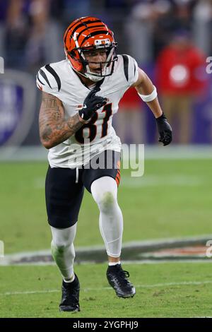 Baltimore, MD, USA. November 2024. Cincinnati Bengals Wide Receiver Jermaine Burton (81) in Aktion während eines Spiels gegen die Baltimore Ravens im M&T Bank Stadium in Baltimore, MD. Foto/Mike Buscher/Cal Sport Media/Alamy Live News Stockfoto