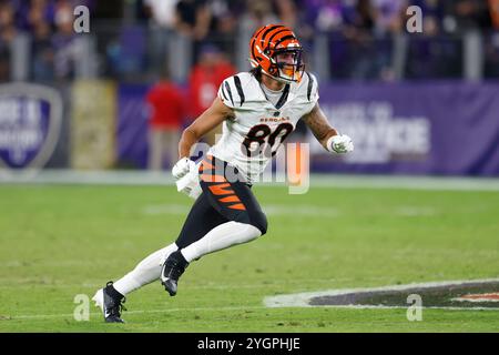 Baltimore, MD, USA. November 2024. Cincinnati Bengals Wide Receiver Andrei Iosivas (80) in Aktion während eines Spiels gegen die Baltimore Ravens im M&T Bank Stadium in Baltimore, MD. Foto/Mike Buscher/Cal Sport Media/Alamy Live News Stockfoto