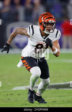 Baltimore, MD, USA. November 2024. Cincinnati Bengals Wide Receiver Jermaine Burton (81) in Aktion während eines Spiels gegen die Baltimore Ravens im M&T Bank Stadium in Baltimore, MD. Foto/Mike Buscher/Cal Sport Media/Alamy Live News Stockfoto