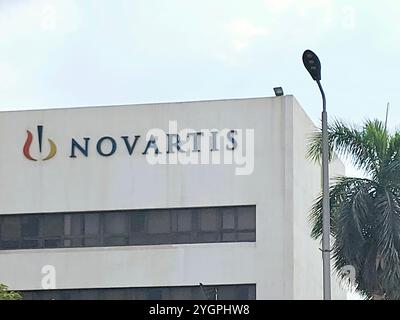 Kairo, Ägypten, Oktober 31 2024: Novartis CO in Ägypten die Novartis AG ist ein Schweizer multinationales Pharmaunternehmen mit Sitz in Basel, Schweiz Stockfoto