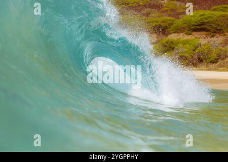 Eine perfekt geformte Tonnenwelle bricht in der Nähe des Sandy Beach auf, ein atemberaubendes Schauspiel der Kraft der Natur an Oahus Ostküste. Stockfoto