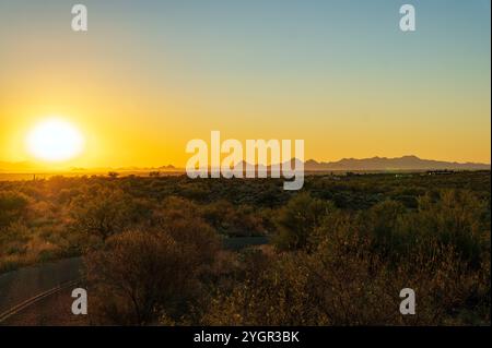 Blick auf die Tucson Mountains und die Wüste Sonnenuntergang; Cactus Forest Loop Drive; Saguaro National Park; Arizona; USA Stockfoto
