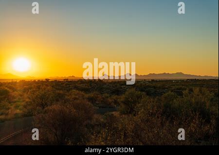 Blick auf die Tucson Mountains und die Wüste Sonnenuntergang; Cactus Forest Loop Drive; Saguaro National Park; Arizona; USA Stockfoto
