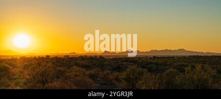 Panorama der Tucson Mountains und Wüstenblick Sonnenuntergang; Cactus Forest Loop Drive; Saguaro National Park; Arizona; USA Stockfoto