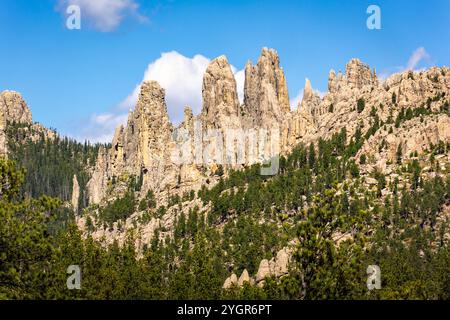 Needles Eye Tunnel im Custer State Park, South Dakota, Stockfoto