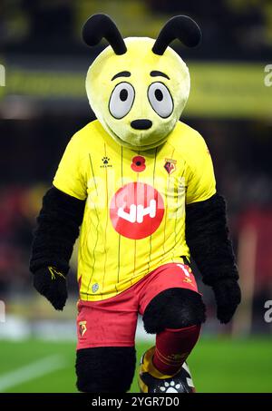 Watford Maskottchen „Harry the Hornet“ vor dem Sky Bet Championship-Spiel in der Vicarage Road, Watford. Bilddatum: Freitag, 8. November 2024. Stockfoto