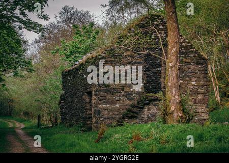 Im Knapdale Forest, am Rande des Loch Coille Bharr, können Sie die Überreste des Townships Kilmory OIB entdecken. Stockfoto