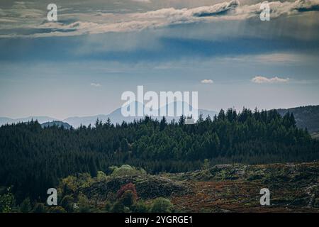 Blick über Loch Barnluasgan auf dem Scottish Beaver Trail in Richtung Isle of Jura Stockfoto