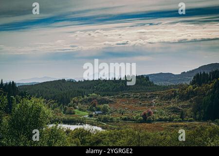 Blick über Loch Barnluasgan auf dem Scottish Beaver Trail in Richtung Isle of Jura Stockfoto