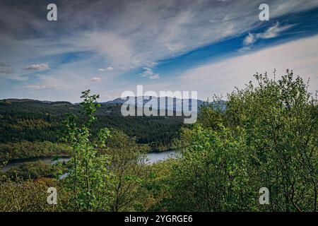 Blick auf Loch Linne, Argyll, Schottland vom Knapdale Beaver Trail Stockfoto